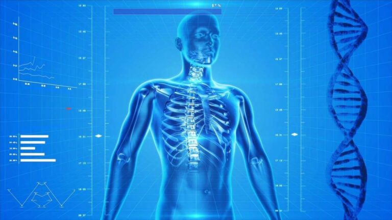 fréquence des cellules du corps